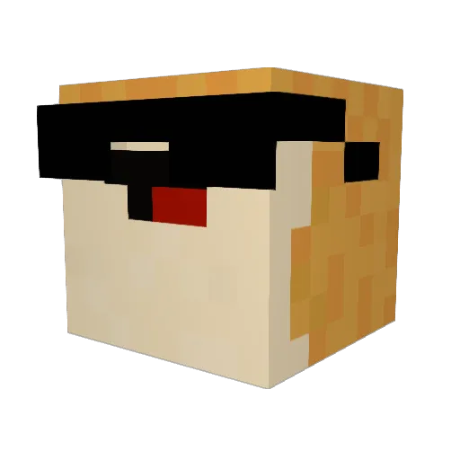 L3g1tZerus Minecraft avatar head, 3D render