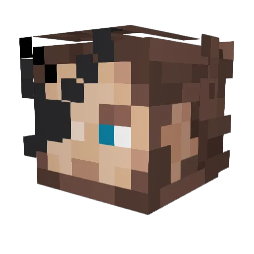 L3n0x8 Minecraft avatar head, 3D render