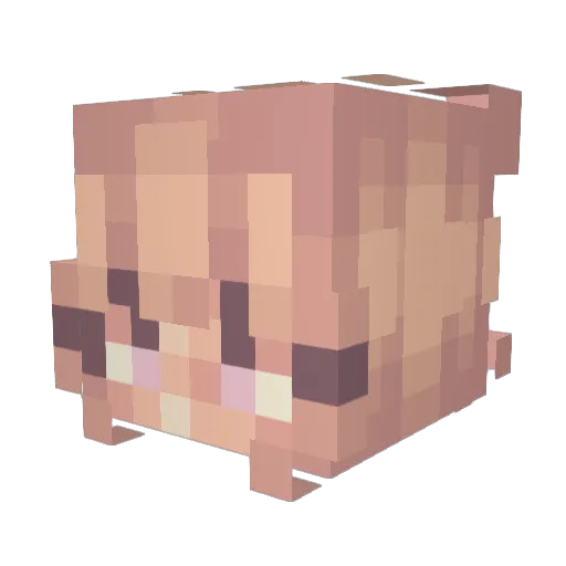 L3naHe Minecraft avatar head, 3D render