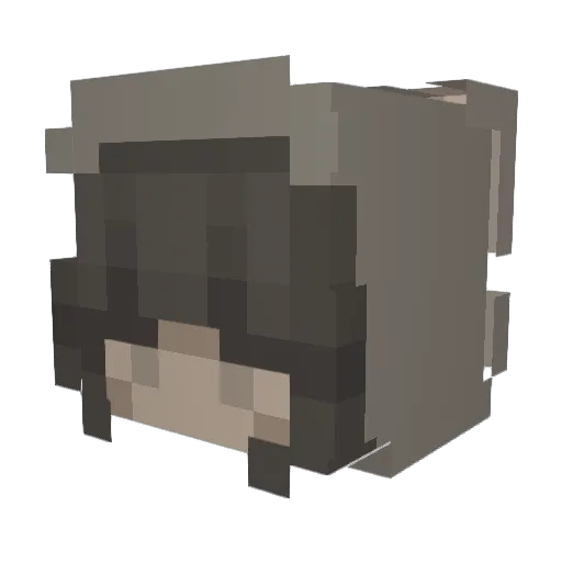 L3ssly Minecraft avatar head, 3D render