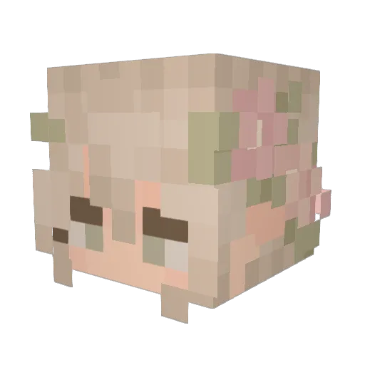 L3ttuce_ Minecraft avatar head, 3D render