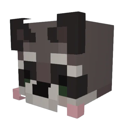 L4NC4T Minecraft avatar head, 3D render