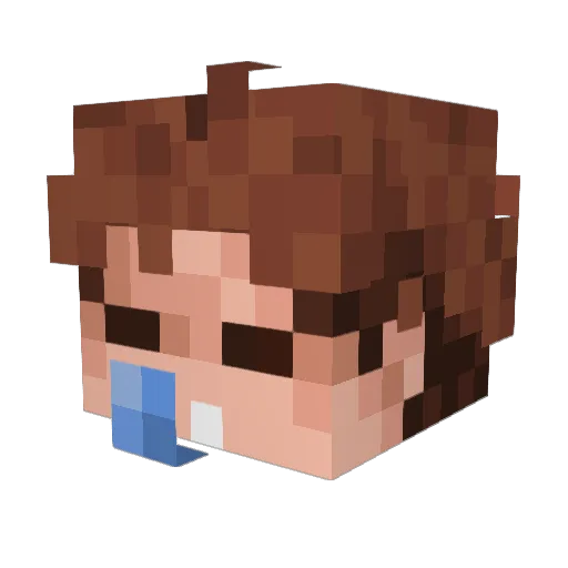 L4ng0sto Minecraft avatar head, 3D render