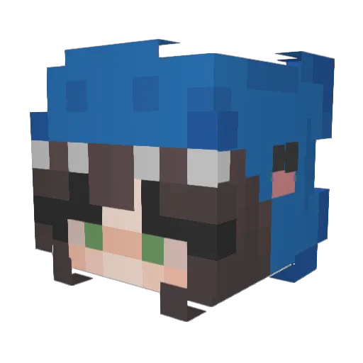 L6s1 Minecraft avatar head, 3D render