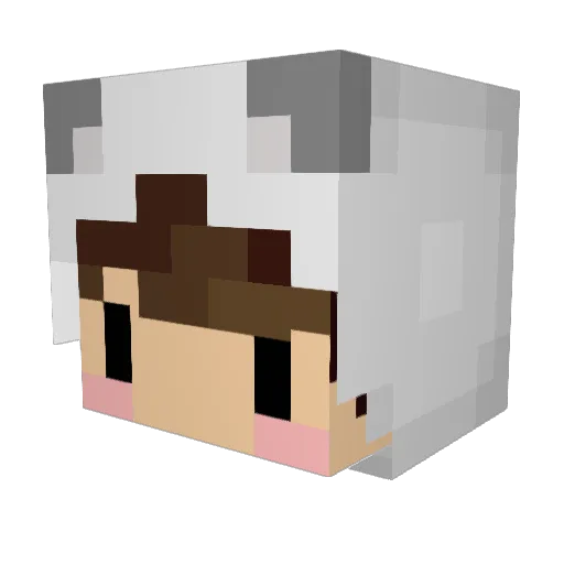 LA2015 Minecraft avatar head, 3D render
