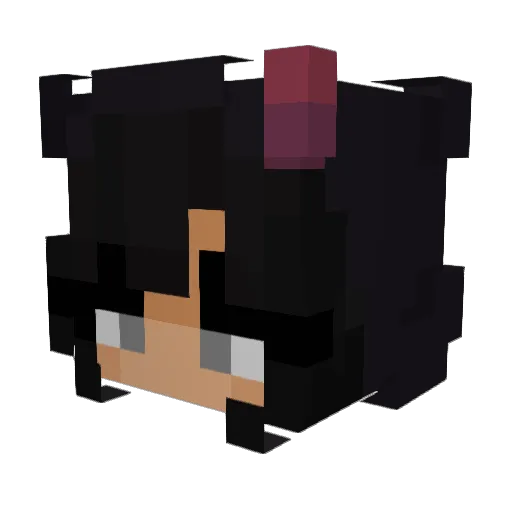 Minecraft-Avatar von LACHMEW: Kopf als 3D-Render