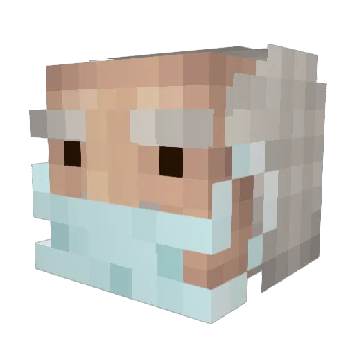 LACoFD Minecraft avatar head, 3D render