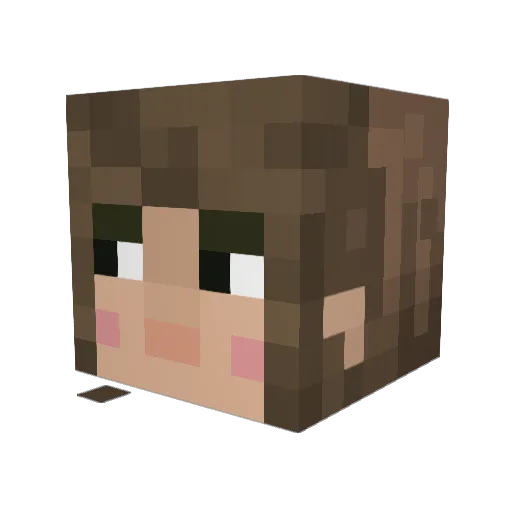 LAE197 Minecraft avatar head, 3D render