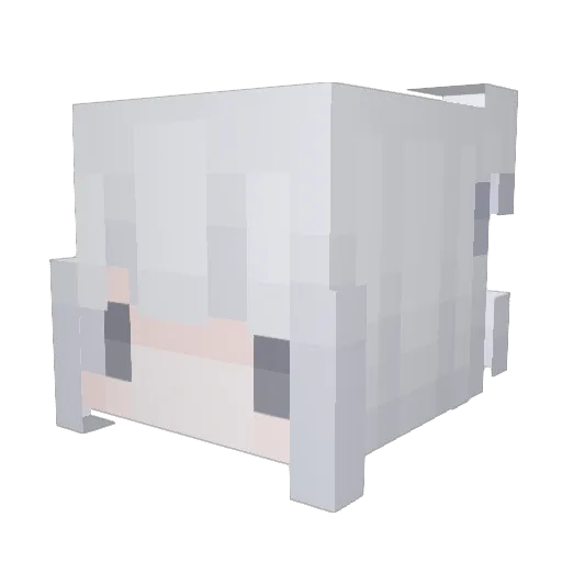 LALALAYUKI Minecraft avatar head, 3D render