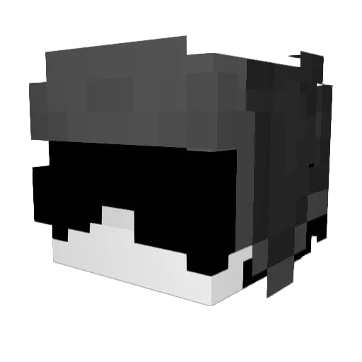 LANCINGS Minecraft avatar head, 3D render