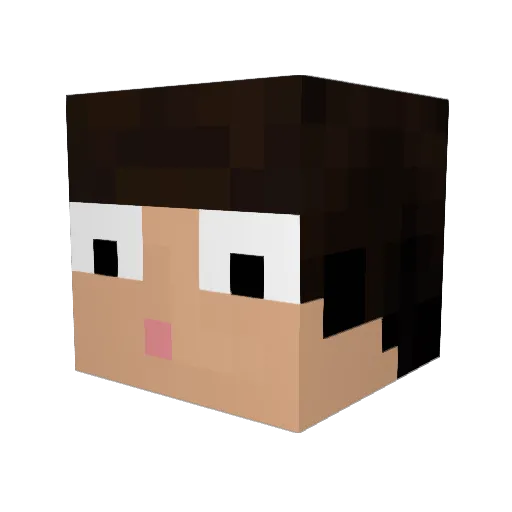 LANEE2001 Minecraft avatar head, 3D render