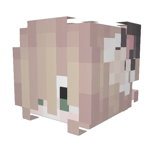 LARISSA_7234543 Minecraft avatar head, 3D render