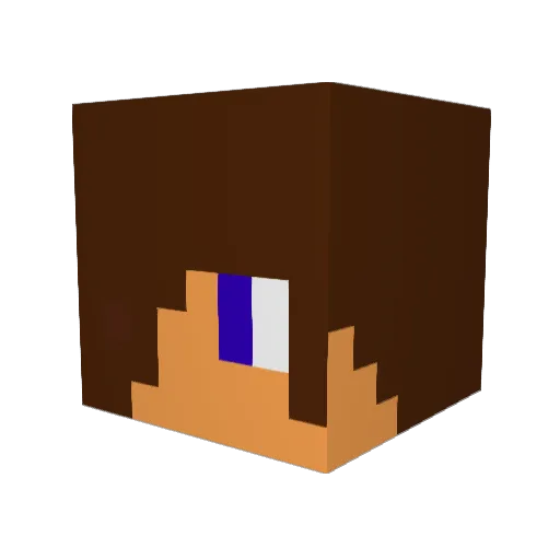 LARSHIM Minecraft avatar head, 3D render