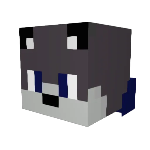 LAST_GAMER_40 Minecraft avatar head, 3D render