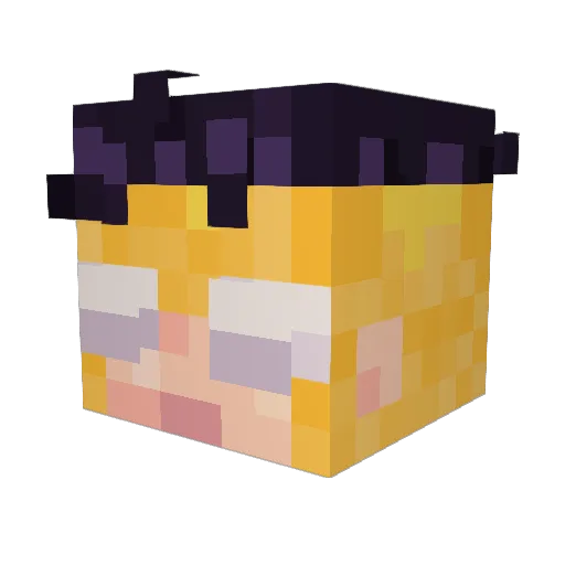 LAZAE2489 Minecraft avatar head, 3D render