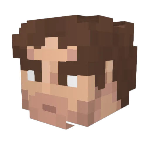 LA_PASSION2 Minecraft avatar head, 3D render