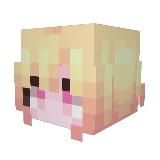 LBBBBR Minecraft avatar head, 3D render