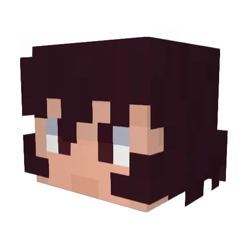 LBPflower Minecraft avatar head, 3D render