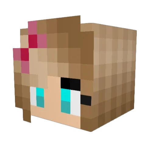 LBear24 Minecraft avatar head, 3D render