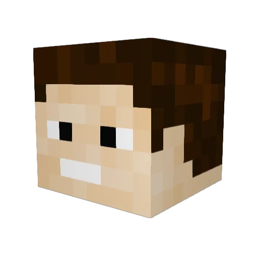 LC101 Minecraft avatar head, 3D render