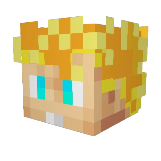LCBlome99 Minecraft avatar head, 3D render