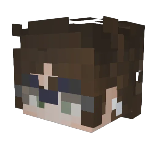 LCD1602 Minecraft avatar head, 3D render