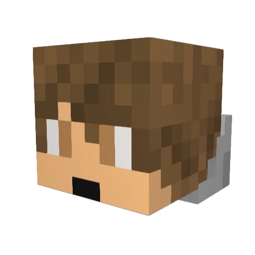 LCPD20 Minecraft avatar head, 3D render