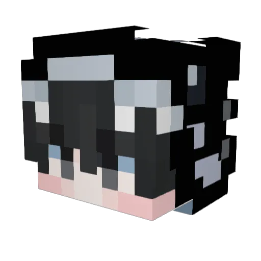 LCS3009 Minecraft avatar head, 3D render