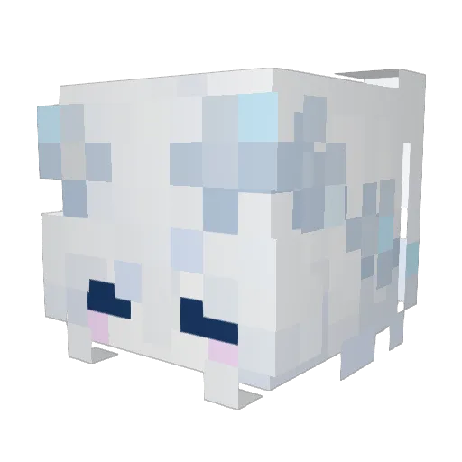 LCT_Sohan Minecraft avatar head, 3D render