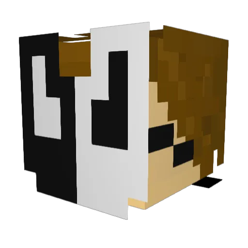LDJ_OG Minecraft avatar head, 3D render