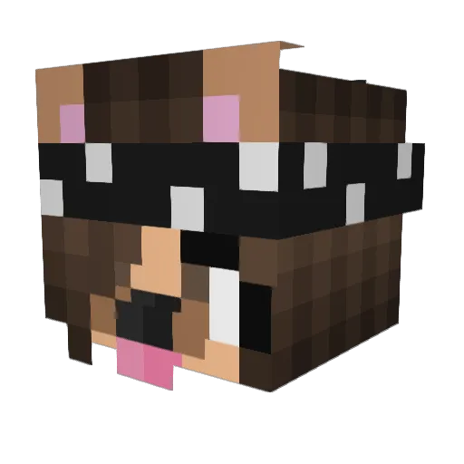 LDJojo1 Minecraft avatar head, 3D render