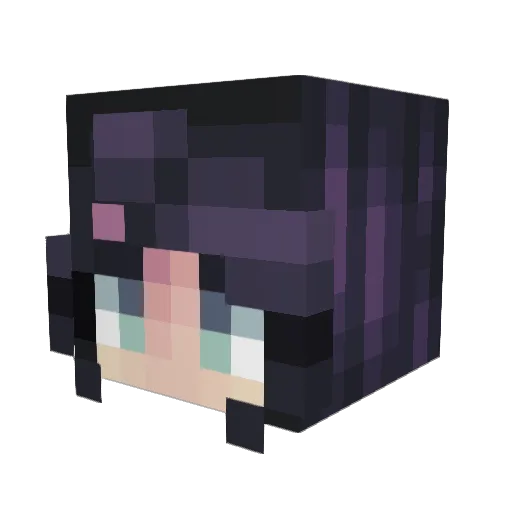 LDY_Cookiez Minecraft avatar head, 3D render