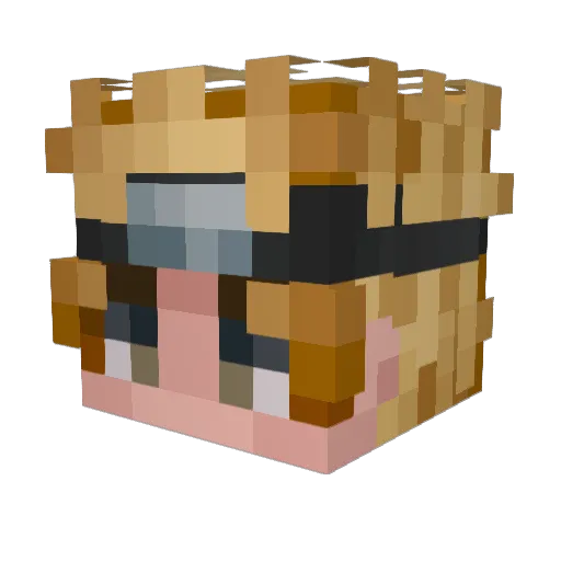 LDsHiro Minecraft avatar head, 3D render