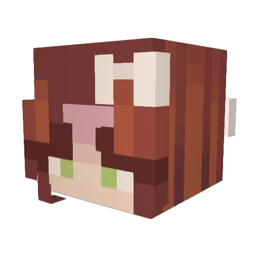 LEAA005 Minecraft avatar head, 3D render