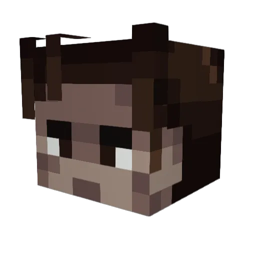 LEATHERHOFF69 Minecraft avatar head, 3D render