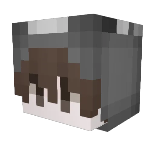 LEAWSD Minecraft avatar head, 3D render