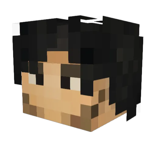 LEBRONJAMESpoo Minecraft avatar head, 3D render