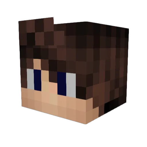 LECANEART Minecraft avatar head, 3D render