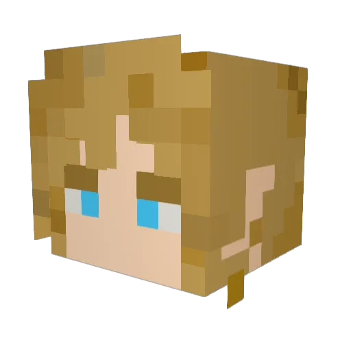 LECEF Minecraft avatar head, 3D render