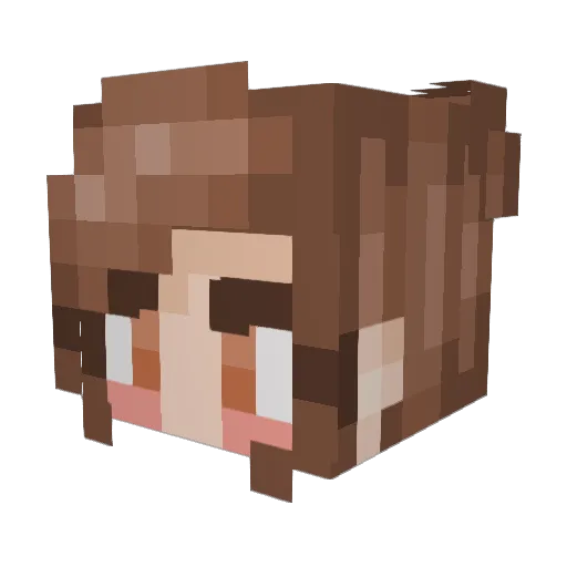 LECHEUR2PIEDSAL Minecraft avatar head, 3D render