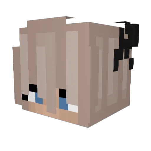 LECKUSMAXIMUS Minecraft avatar head, 3D render