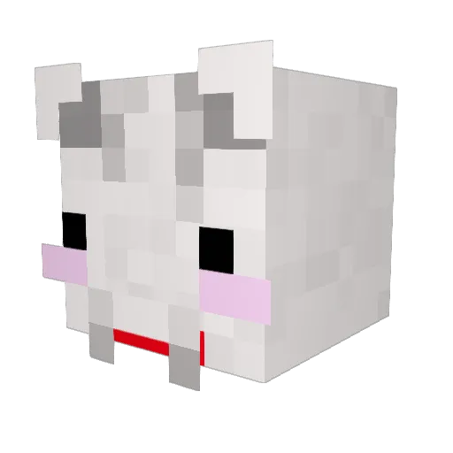 LEEAUSTIN Minecraft avatar head, 3D render