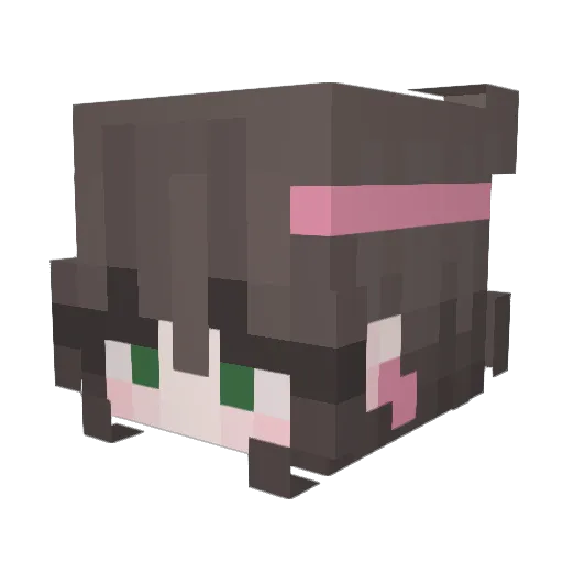 LEEJUNPAL Minecraft avatar head, 3D render