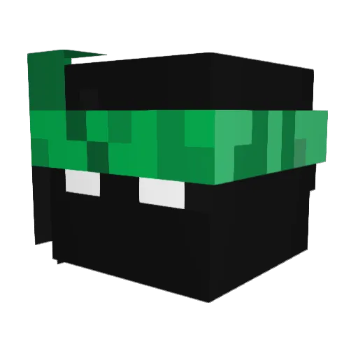 LEEROY17 Minecraft avatar head, 3D render