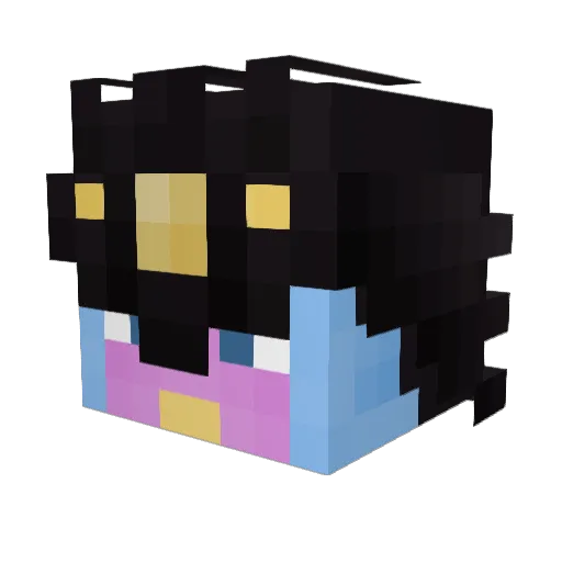 LEESEUNGSU123 Minecraft avatar head, 3D render