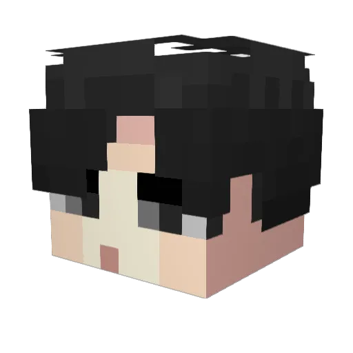 LEETAEJUN_ Minecraft avatar head, 3D render