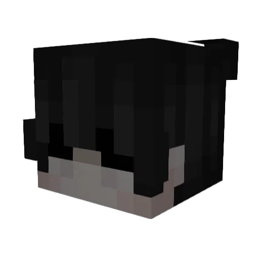 LEE_09_SY Minecraft avatar head, 3D render