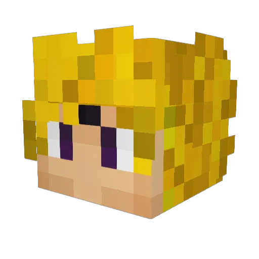 LEE_JON_JAL Minecraft avatar head, 3D render