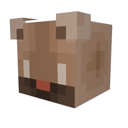 LEEjamong12 Minecraft avatar head, 3D render