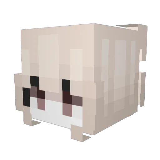 LEI__0 Minecraft avatar head, 3D render